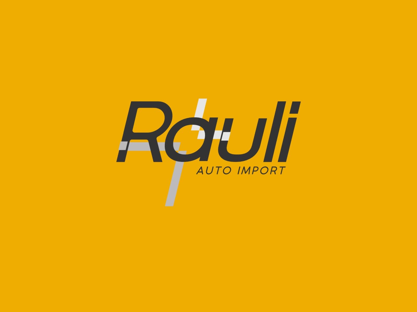 Rauli Auto Import
