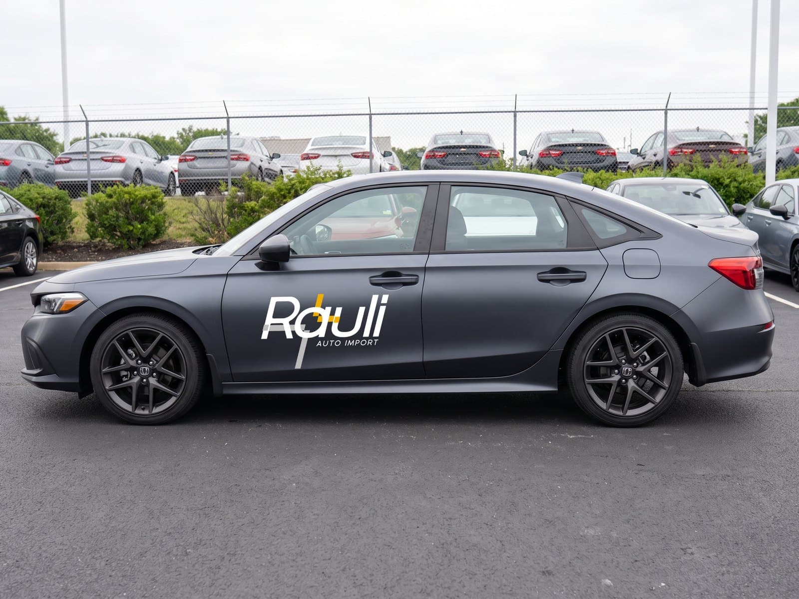 Rauli Auto Import
